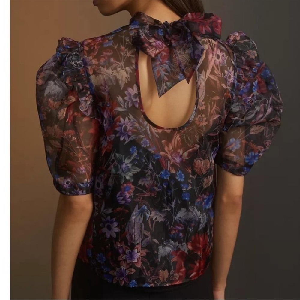 Anthropologie Maeve floral organza top - Picture 2 of 10